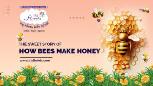 IRIS How Bees Make Honey 22.11.2023